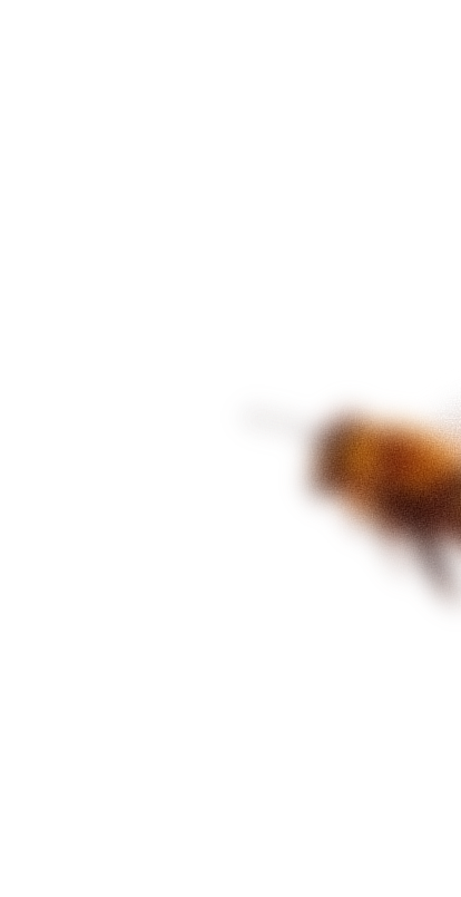 bee_blur